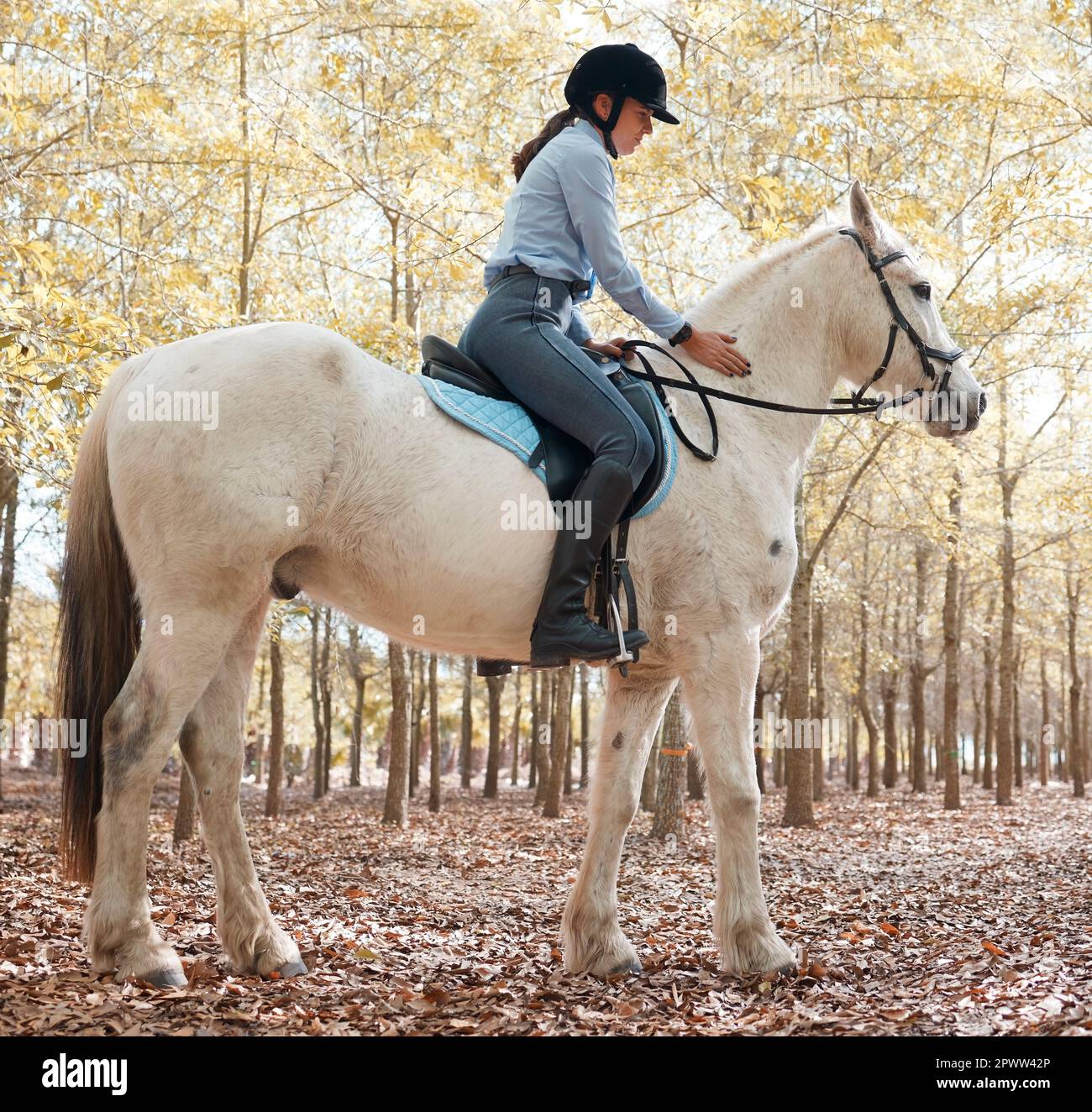 Ein Mann auf einem Pferd fliegt spirituell. Eine attraktive junge Frau, die draußen mit ihrem Pferd reitet Stockfoto