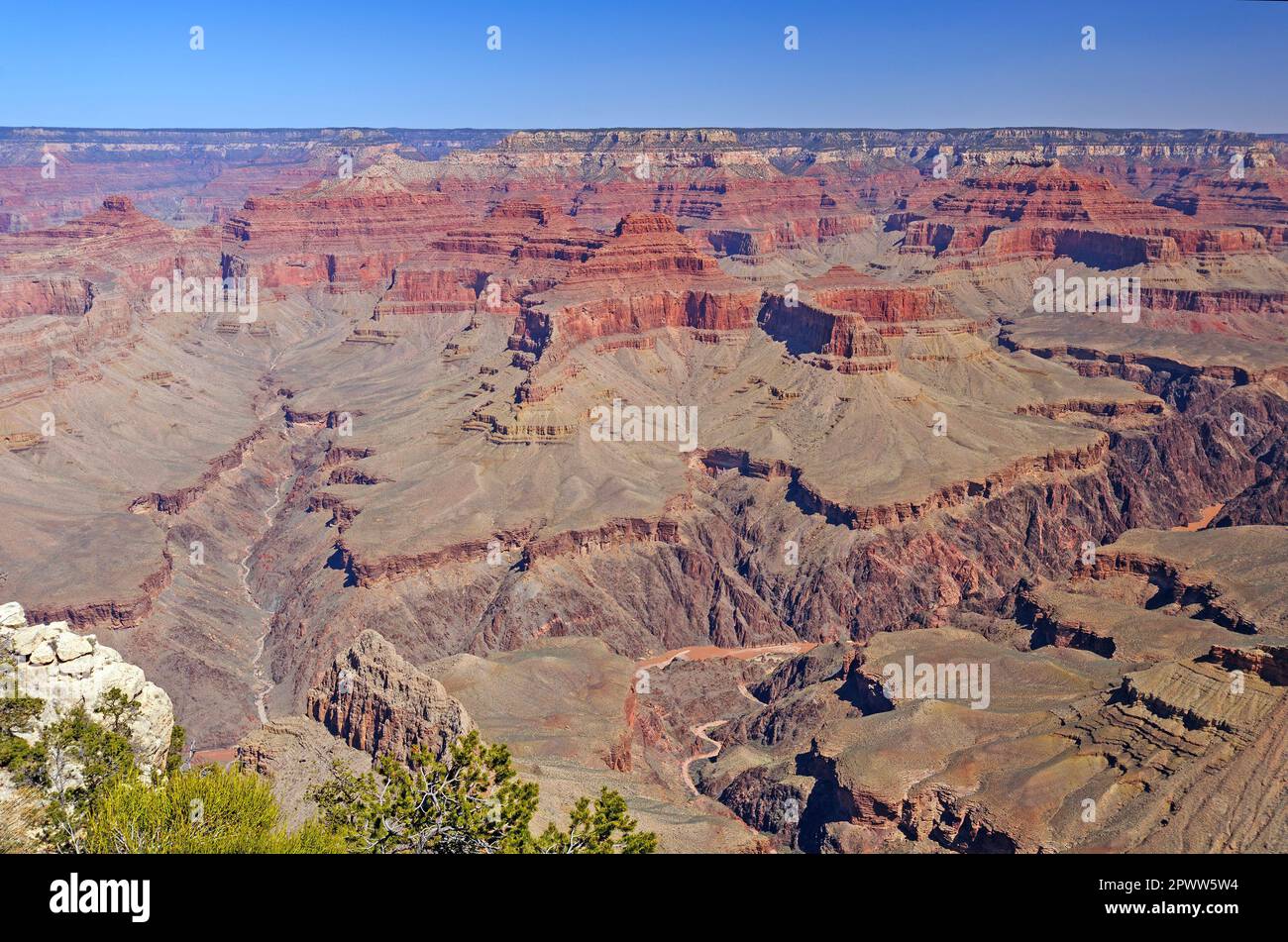 Panoramablick auf den Grand Canyon am Pima Point in Arizona Stockfoto