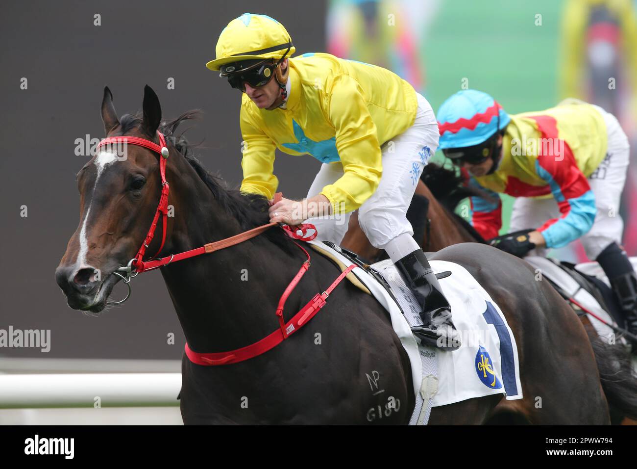 Rennen 8, LUCKY SWEYNESSE(1), geritten von Zac Purton, gewann DEN SPRINT CUP (Gruppe 2, 1200m Rasen) in Sha Tin. 09APR23 SCMP/Kenneth Chan. Stockfoto