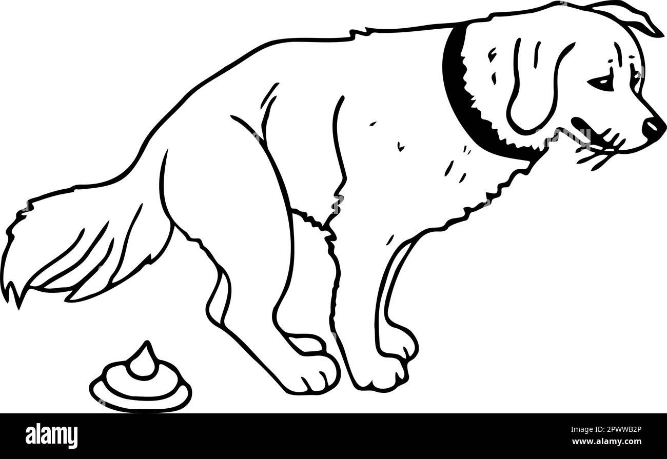 Abbildung eines Hundes, der kackt. Der Umrissvektor zeigt Hund und Hundekot in der Hocke. Stock Vektor