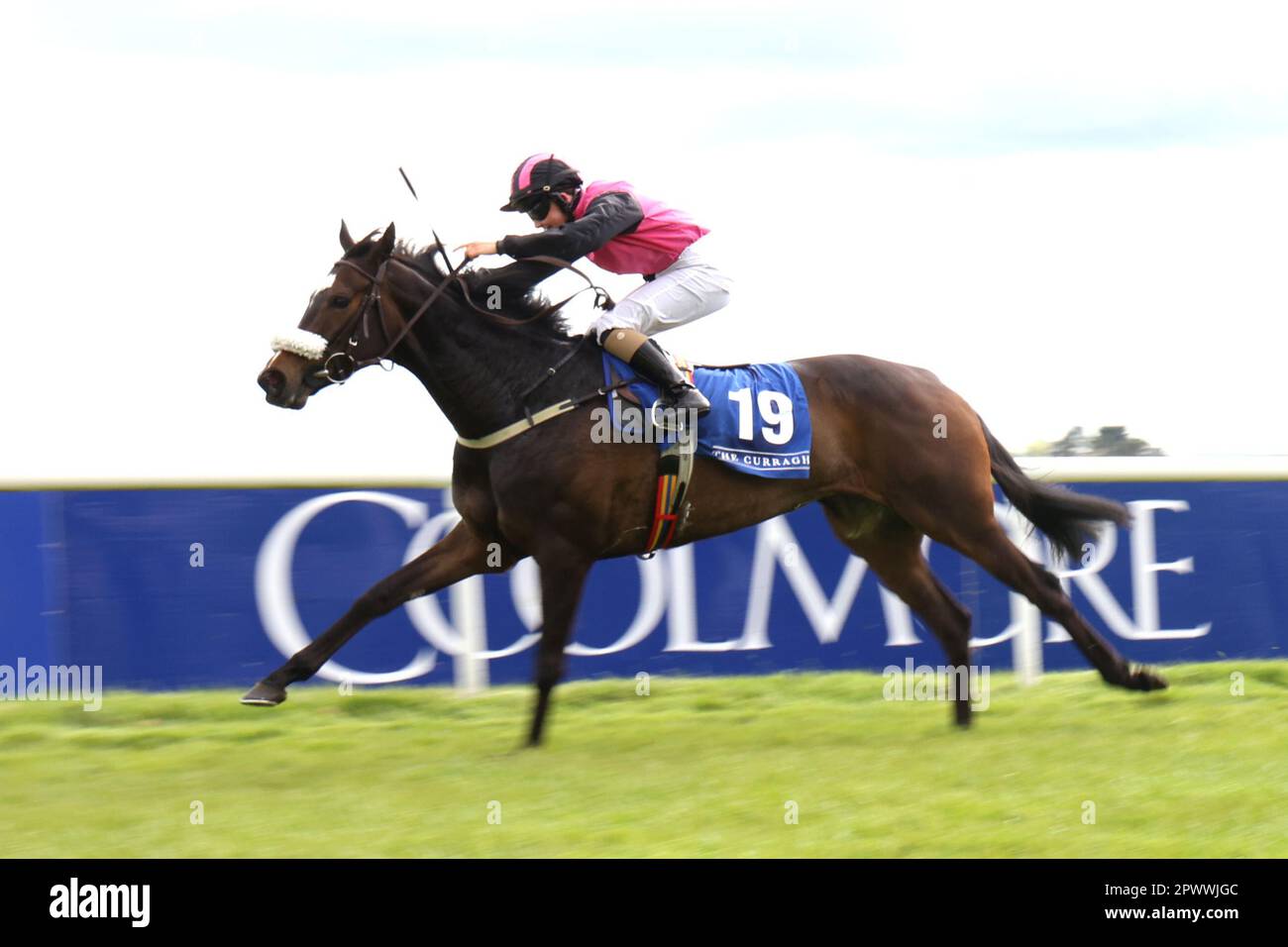 Shimmerz, geritten vom Jockey Siobhan Rutledge, gewinnt den Pg Duffy & Sons Citroen Apprentice Handicap auf der Curragh Racecourse, County Kildare. Foto: Montag, 1. Mai 2023. Stockfoto