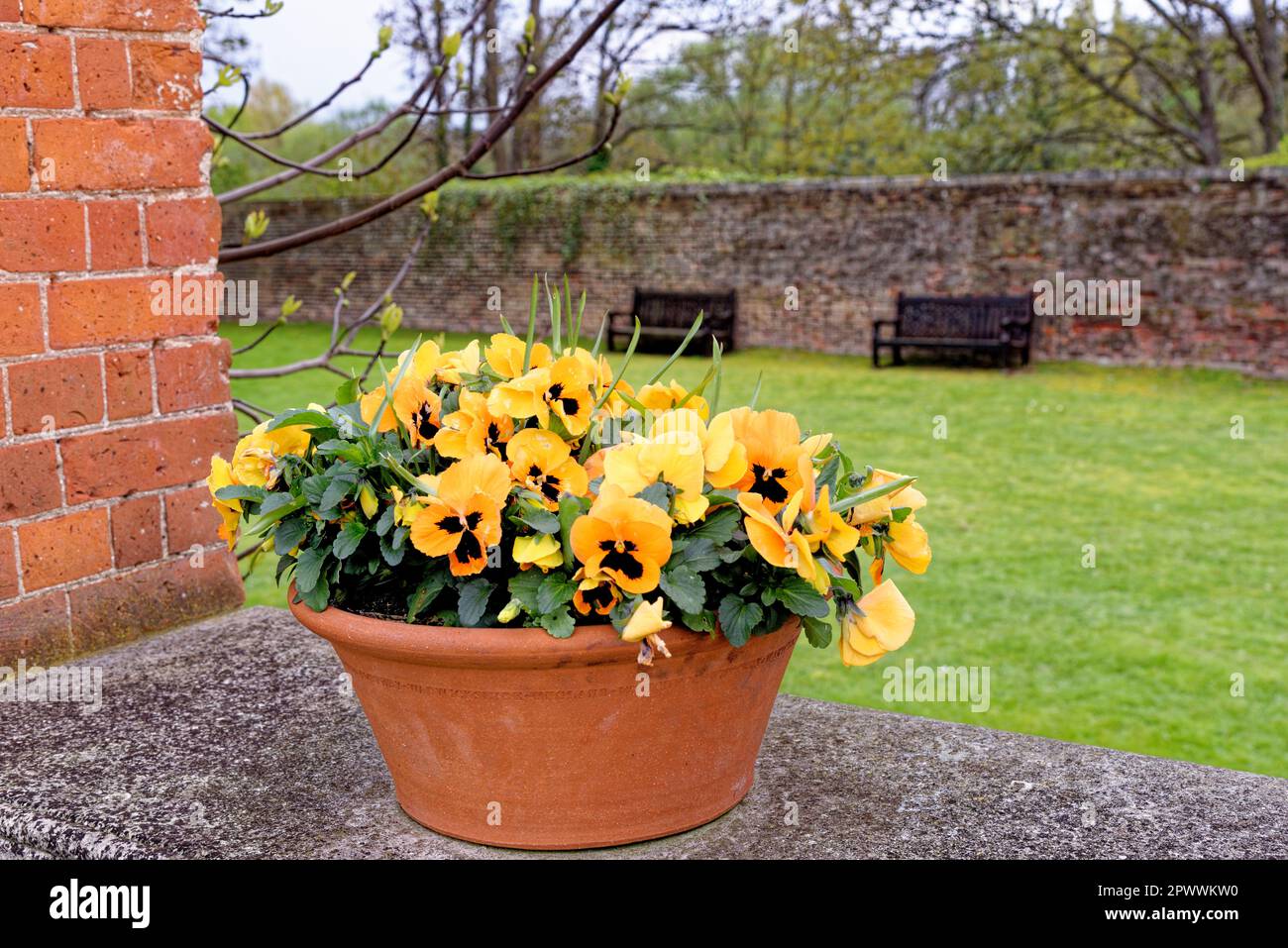 Gartendekoration - wunderschöner englischer Garten im Frühling Stockfoto