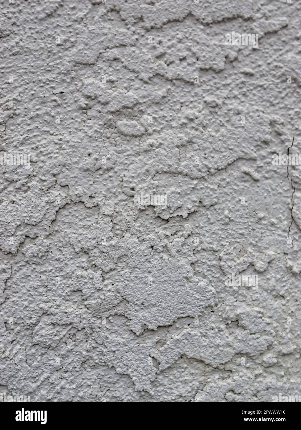 Raue strukturierte Wand aus weißem, grauem Stucco für Hintergrund-Hintergrundbilder Stockfoto