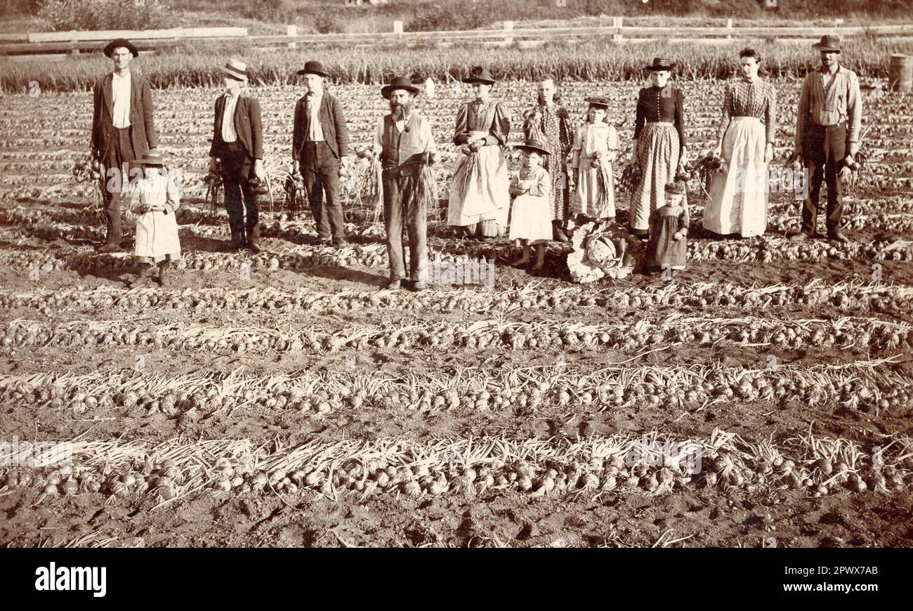 Farmstead Anfang 1900er, Settlers, Pioniere, Westward Expansion Stockfoto