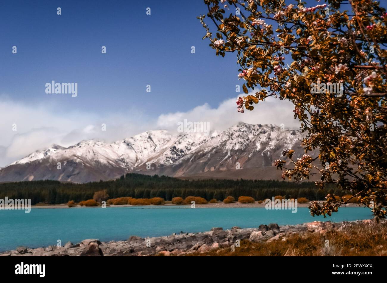 Der Lake Tekapo wird von schneebedeckten Berggipfeln in Neuseeland eingerahmt Stockfoto