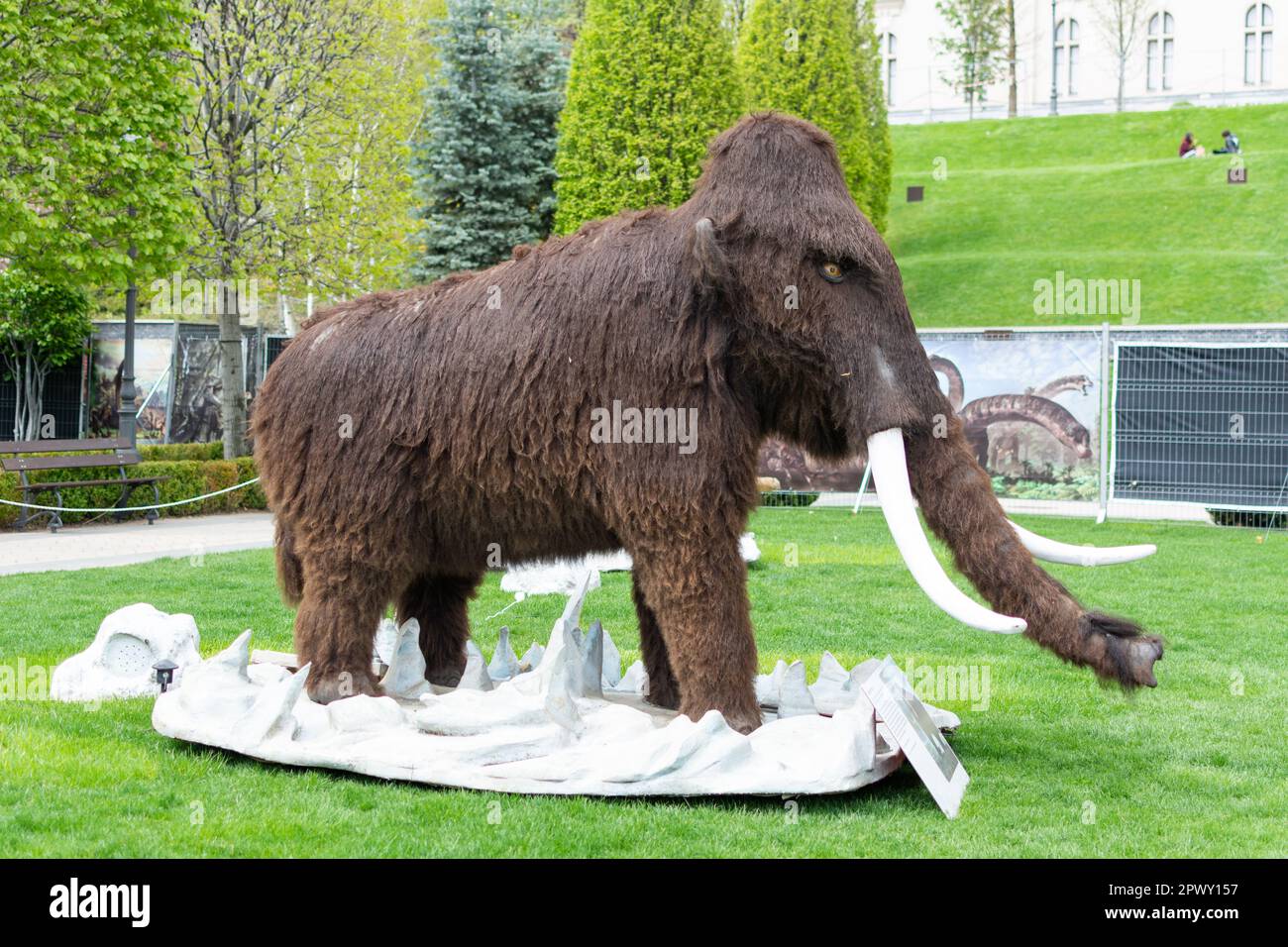 Rekonstruierte Modelle eines Mamonts. Der Park der Dinosaurier im Palas Public Garden in Iasi in der Nähe des Palatul Culturii oder der Kulturpalast in Iasi, Rumänien Stockfoto