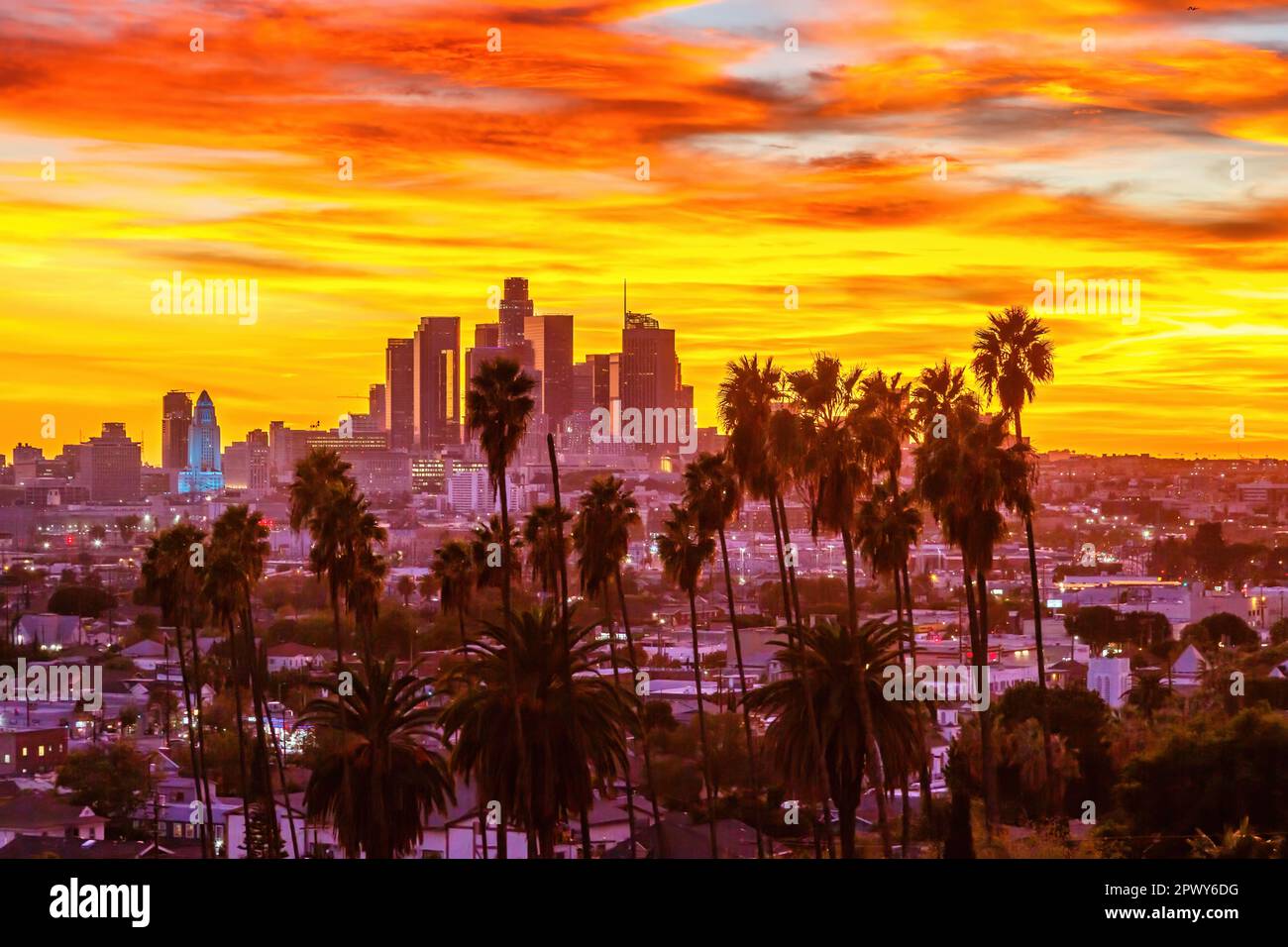 Blick auf die Skyline von Downtown Los Angeles mit Palmen bei einer Reise bei Sonnenuntergang in Kalifornien, USA Stockfoto