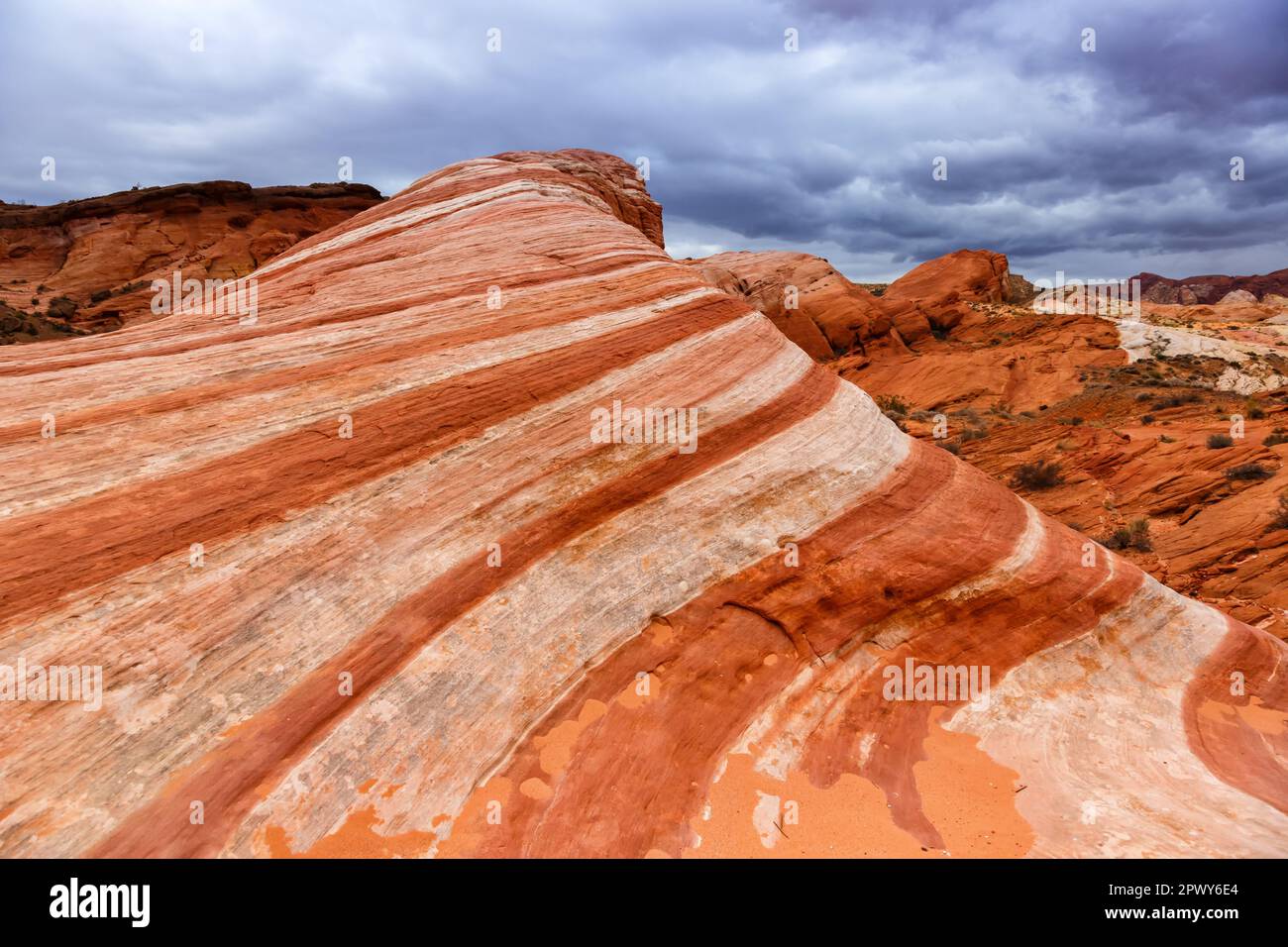 Felsformation aus rotem Sandstein Fire Wave im Valley of Fire State Park Reisen Sie in Nevada in den USA Stockfoto