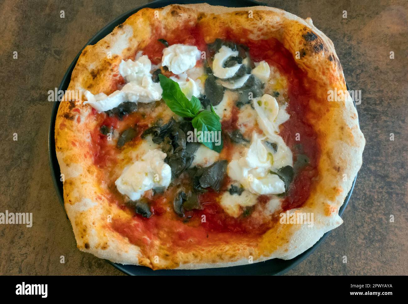 Pizza mit Mozzarella, Tomatensoße, Basilikum und Pilzen Stockfoto