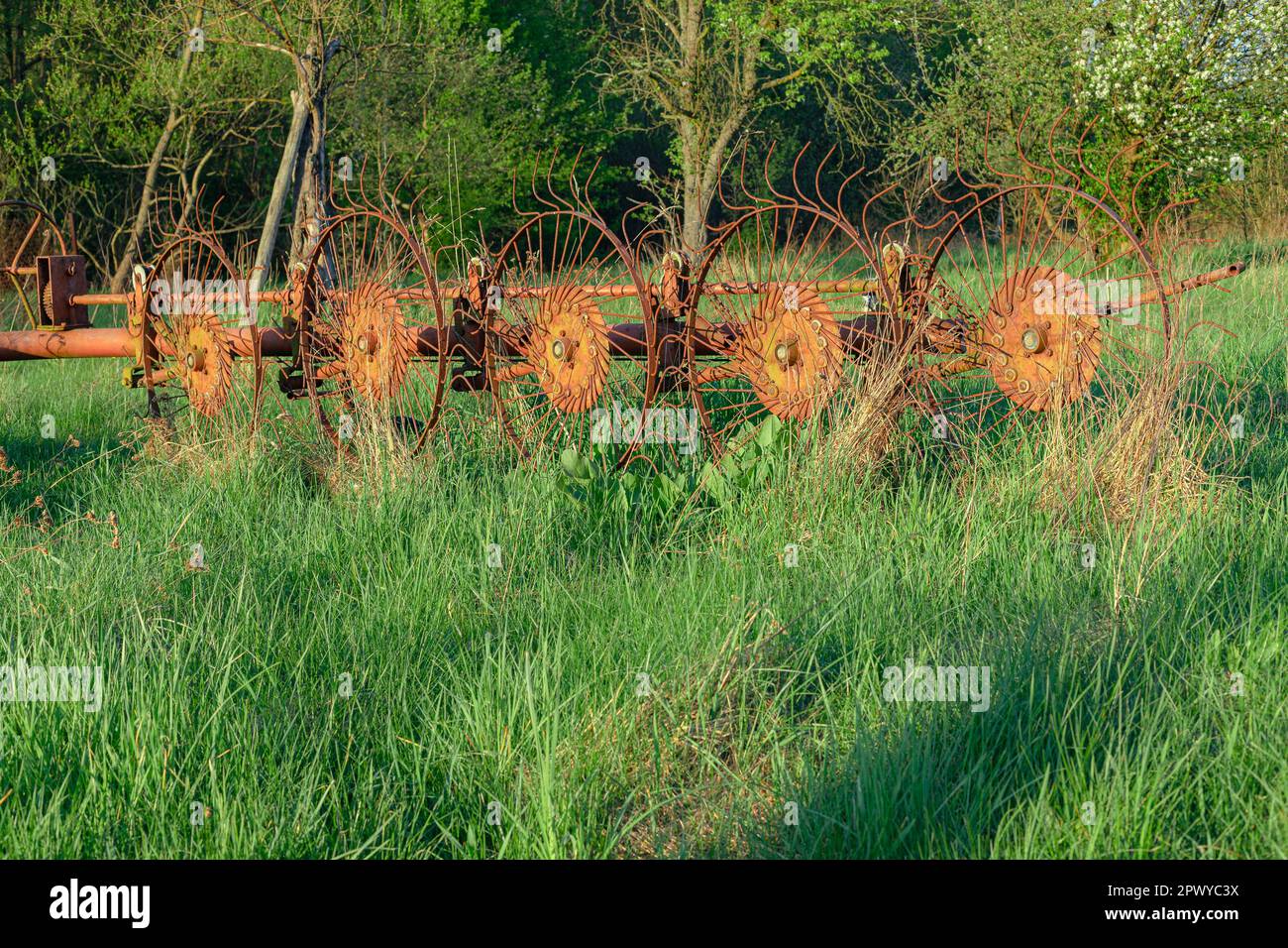 Alte Landmaschine zum Wenden von Heu. Rostige Landmaschinen im Licht der untergehenden Sonne. Ländliche Landschaft, Polen, Mazovia Stockfoto