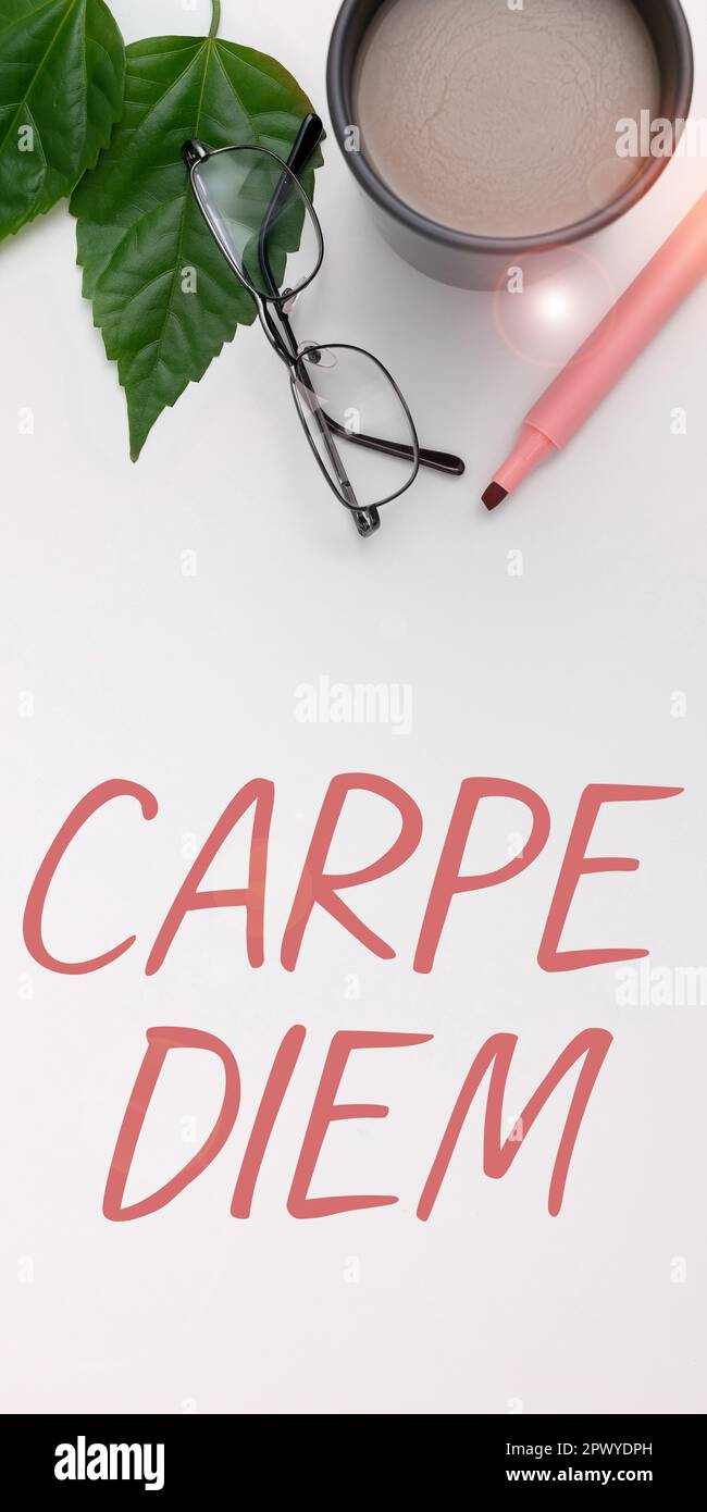Textunterschrift mit Carpe Diem, Word für ein öffentliches Festival, bei dem die Leute Musik und Tanz spielen Stockfoto