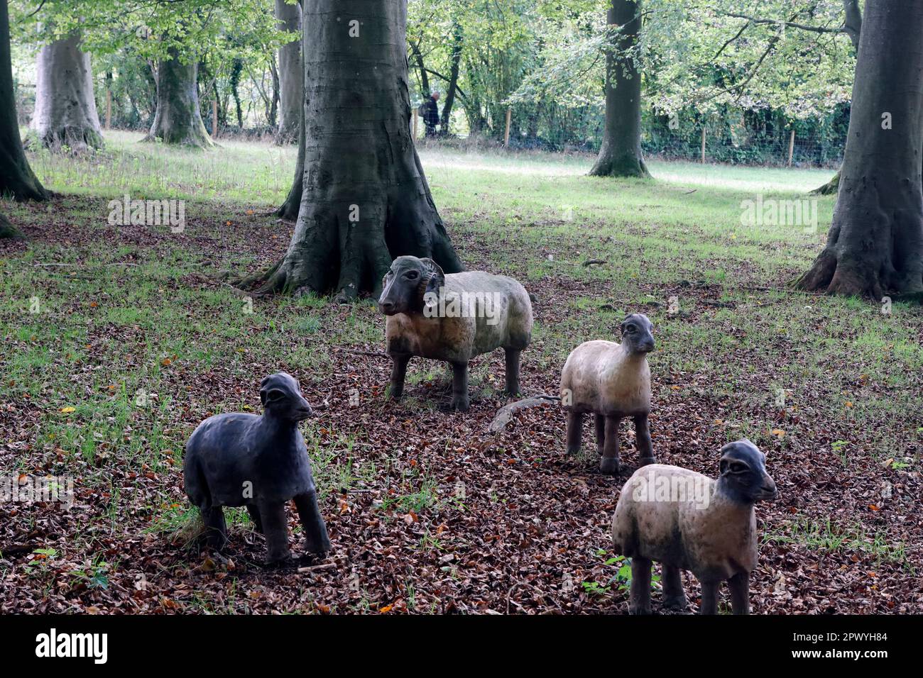 Holzschafsanlage auf einem Feld, St. Fagans Museum, Cardiff. 2023 Stunden Stockfoto