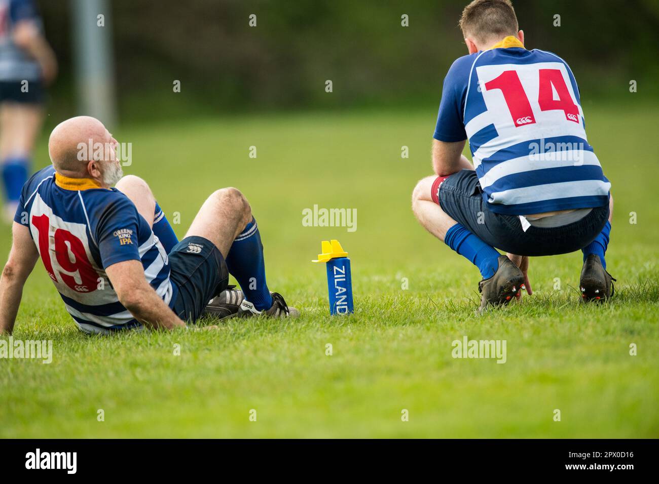 Englische Herren Amateurspieler der Rugby Union spielen in einem Ligaspiel. Stockfoto