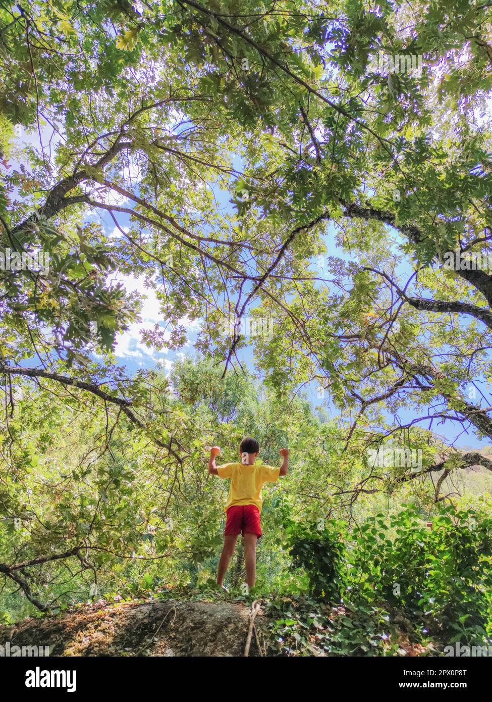 Triumphierender Junge auf einem Waldfelsen. Fördern Sie das Selbstbewusstsein der Kinder Stockfoto