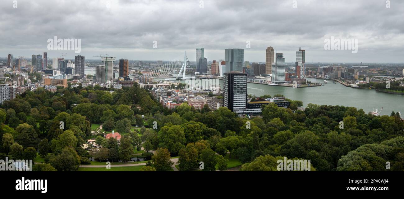 Panoramablick auf den Hafen von Rotterdam und die hohen Gebäude, die ihn umgeben, von der Spitze des Euromast-Turms Stockfoto