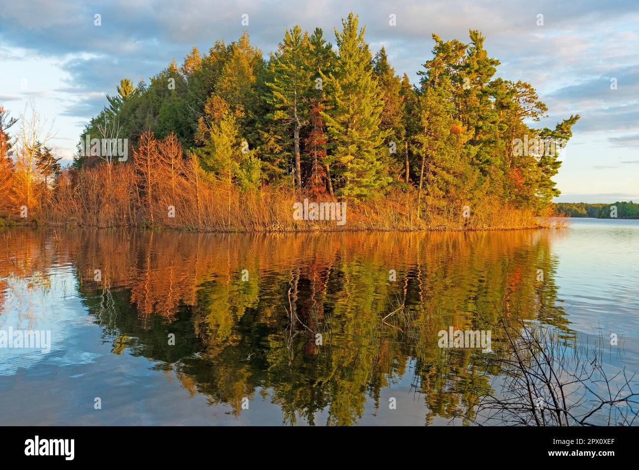 Brillante Farben im Abendlicht am Clark Lake in der Sylvania Wilderness in Michigan Stockfoto