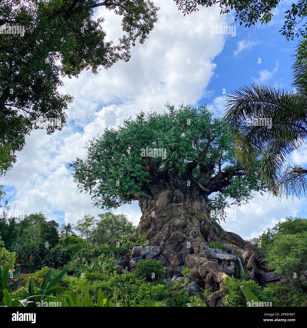 Orlando, FL USA - 18. Juli 2020: Der Baum des Lebens im Animal Kingdom in der Walt Disney World in Orlando, Florida. Stockfoto