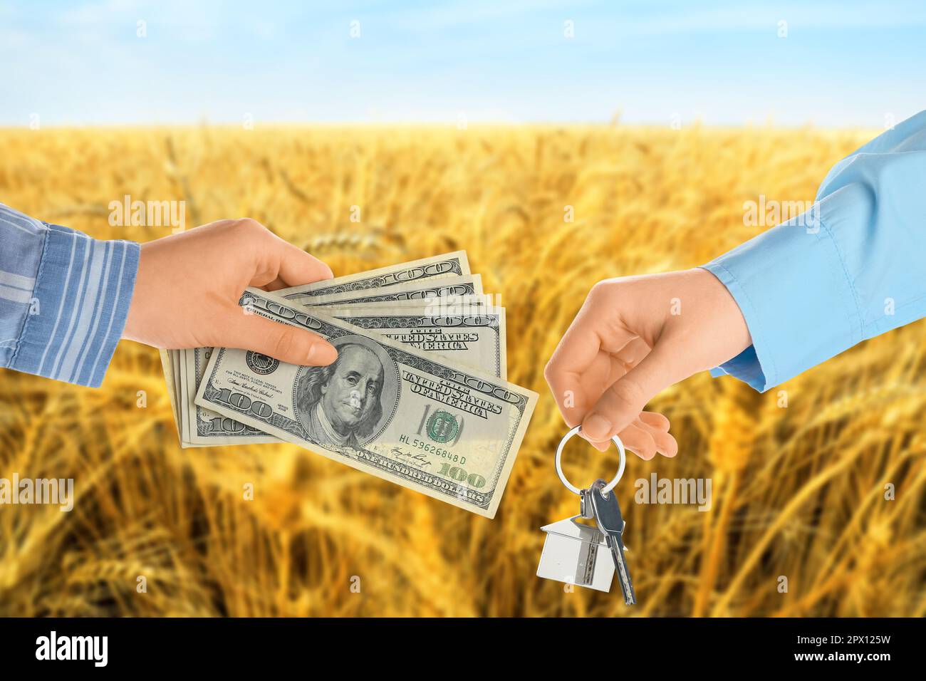 Hände mit Dollarscheine, Schlüssel und Weizenfeld Stockfoto