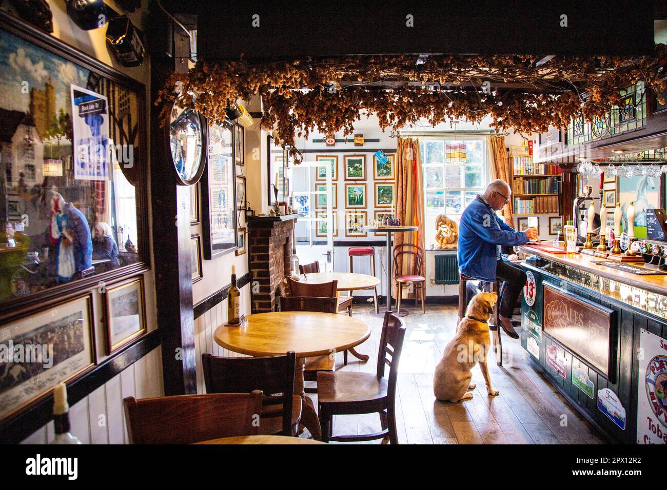 Mann sitzt mit einem Hund an der Bar im traditionellen Pub White Horse Inn, Chilham, Kent, England, Großbritannien Stockfoto