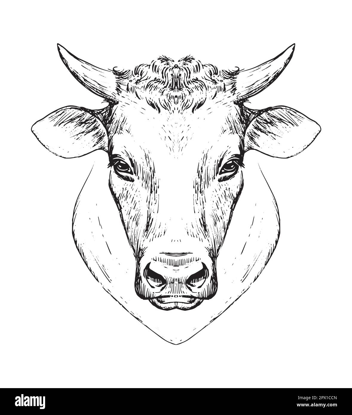 Kuhkopfsymbol, gravierende Handzeichnung, Symbol für Farm, Milchprodukte, Poster. Vektordarstellung auf weiß isoliert Stock Vektor