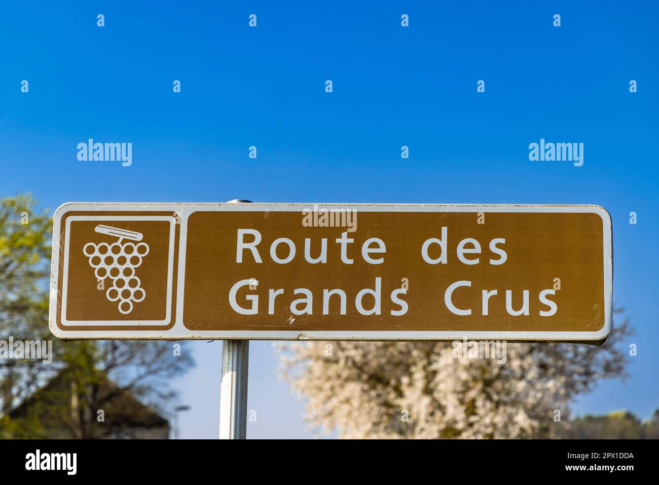 Weinstraße (Route des Grands Crus) in der Nähe von Beaune, Burgund, Frankreich Stockfoto