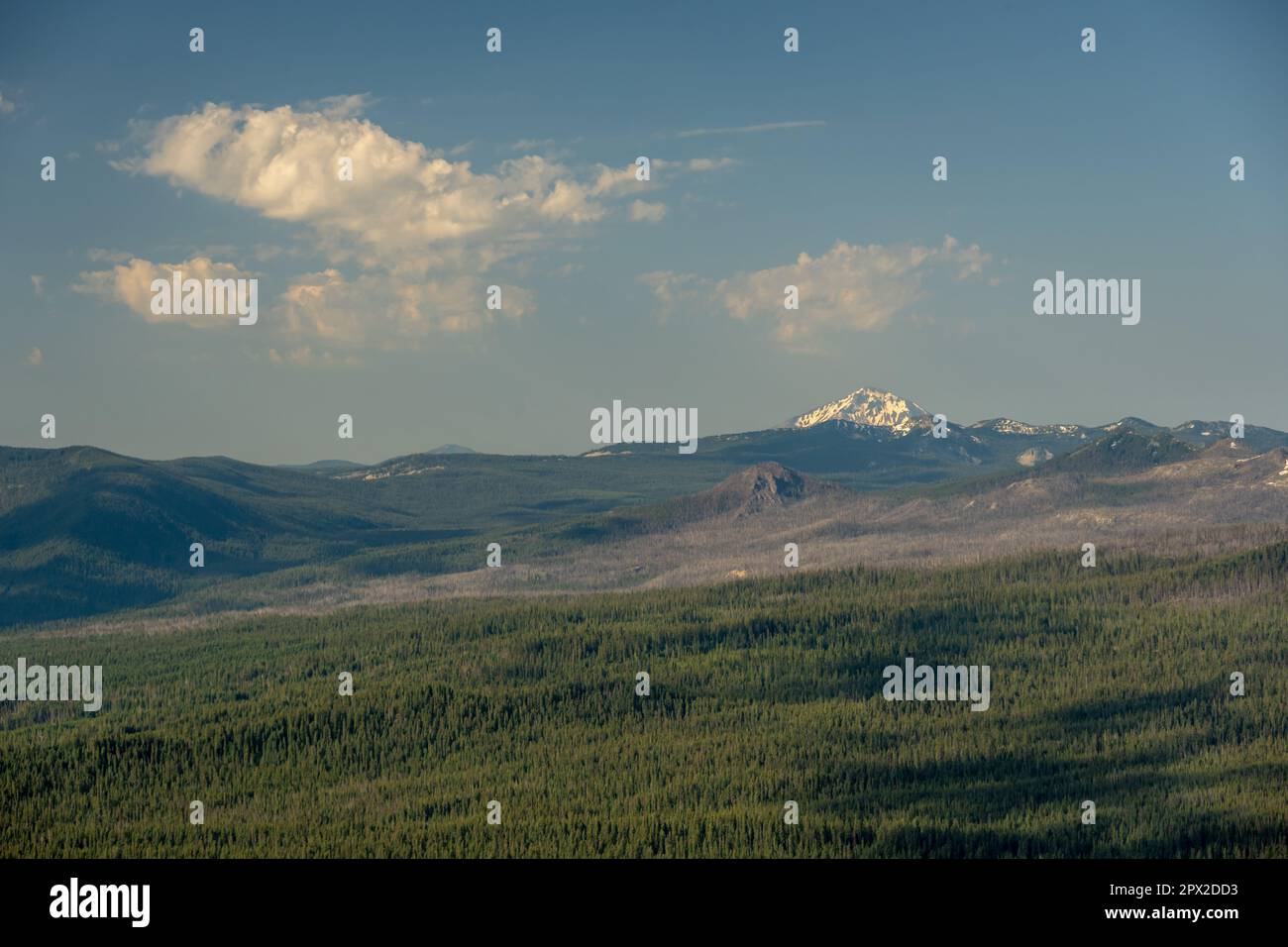 Der Diamond Peak ist im Sommer in Snow Over Horizon of Crater Lake bedeckt Stockfoto