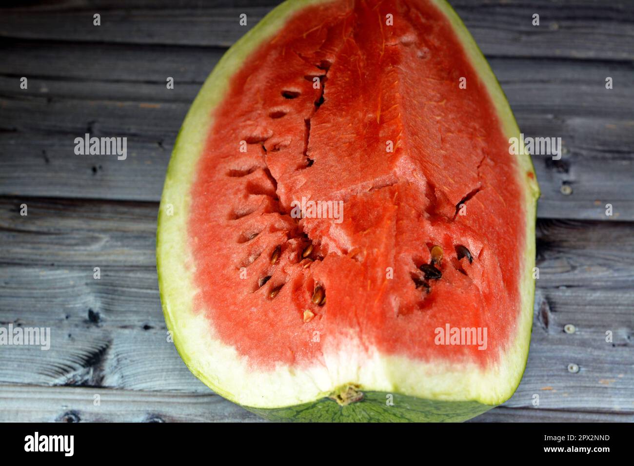 Ein Viertel Wassermelonenfrucht, geschnittenes Stück mit Samen und grüner Schale, serviert als gesunder frischer Snack, selektiver Fokus einer frischen, reifen Wassermelone iso Stockfoto