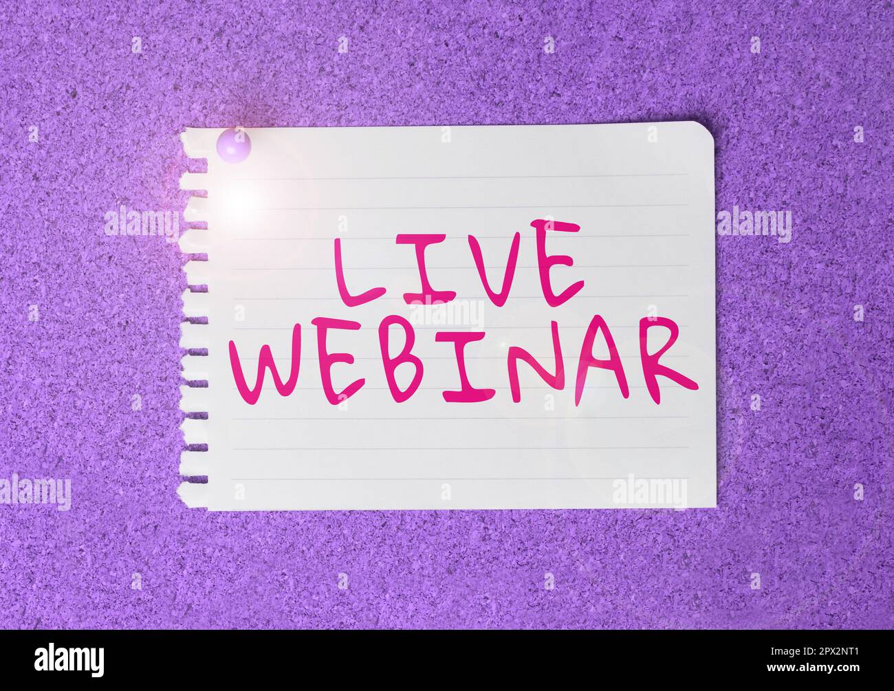 Schreiben, Text anzeigen Live-Webinar, Word für interaktives Seminar, übertragen über das Internet in Echtzeit Stockfoto