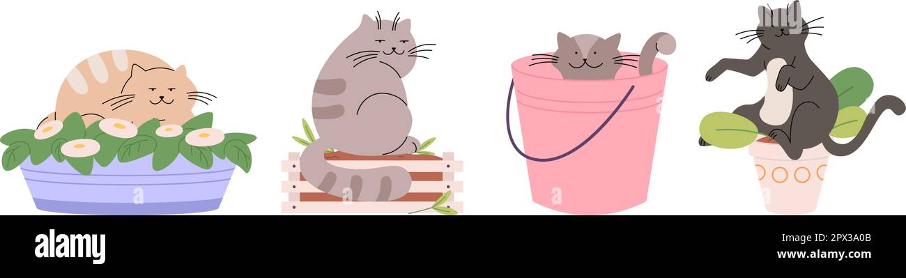Süße Katzen in Pflanztöpfen und Eimern. Lustiger Katzenfuzzi und Zerstörer. Heimtiere, Haustiere schlafen in Vase und Holzkiste. Cartoon-Vektorzeichen Stock Vektor