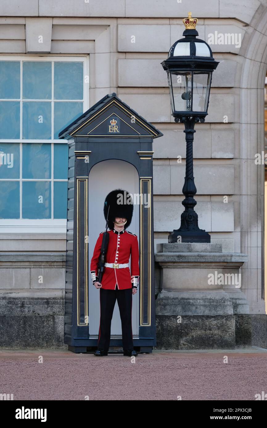 London, Großbritannien. Eine Königsgarde steht auf dem Gelände des Buckingham Palace in roter Uniform und Bärenfell-Hut. Stockfoto