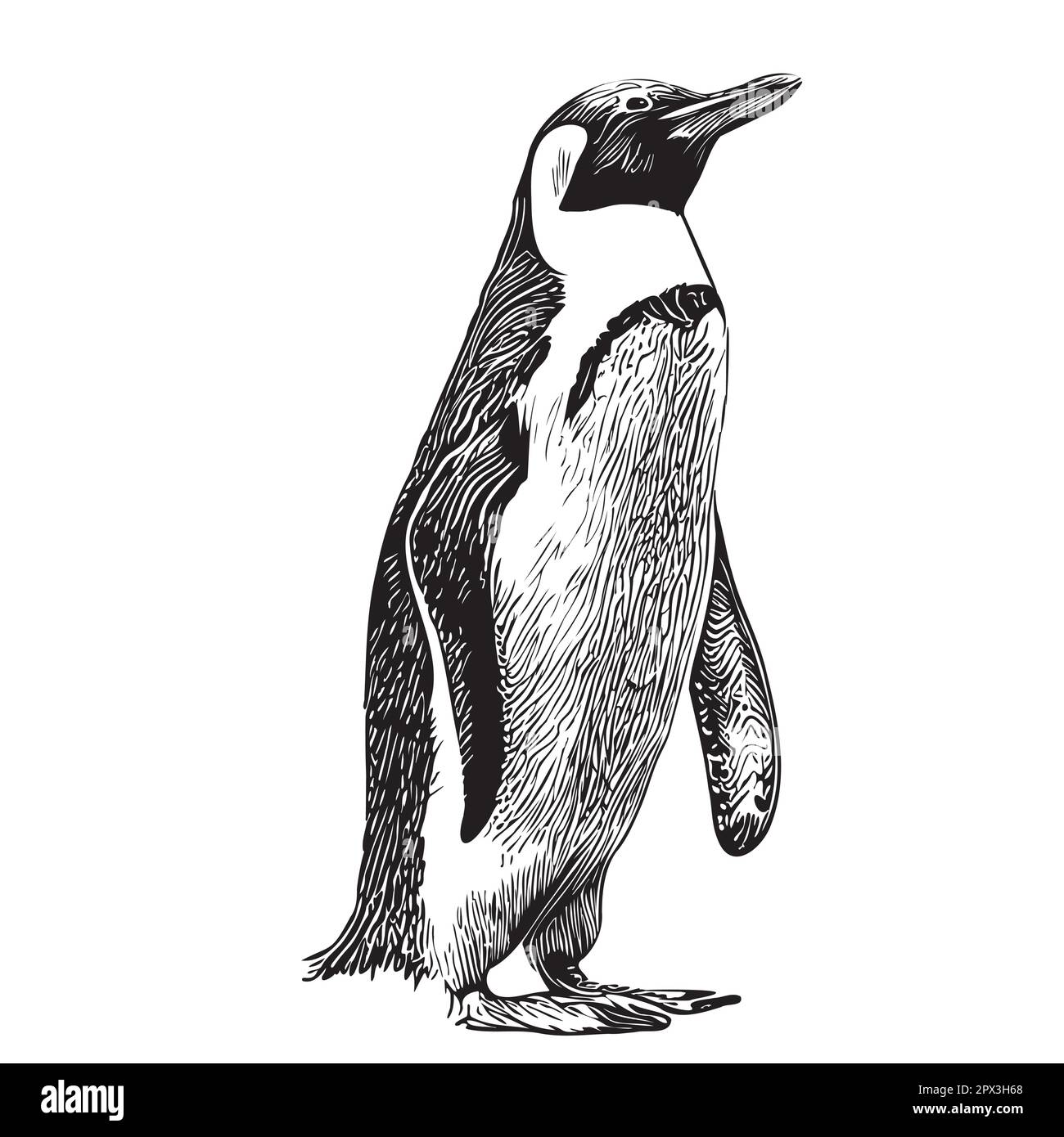 Pinguin-Skizze, handgezeichnet in Doodle-Style-Illustration Stock Pinguin-Skizze, handgezeichnet in Doodle-Style-Illustration Stock