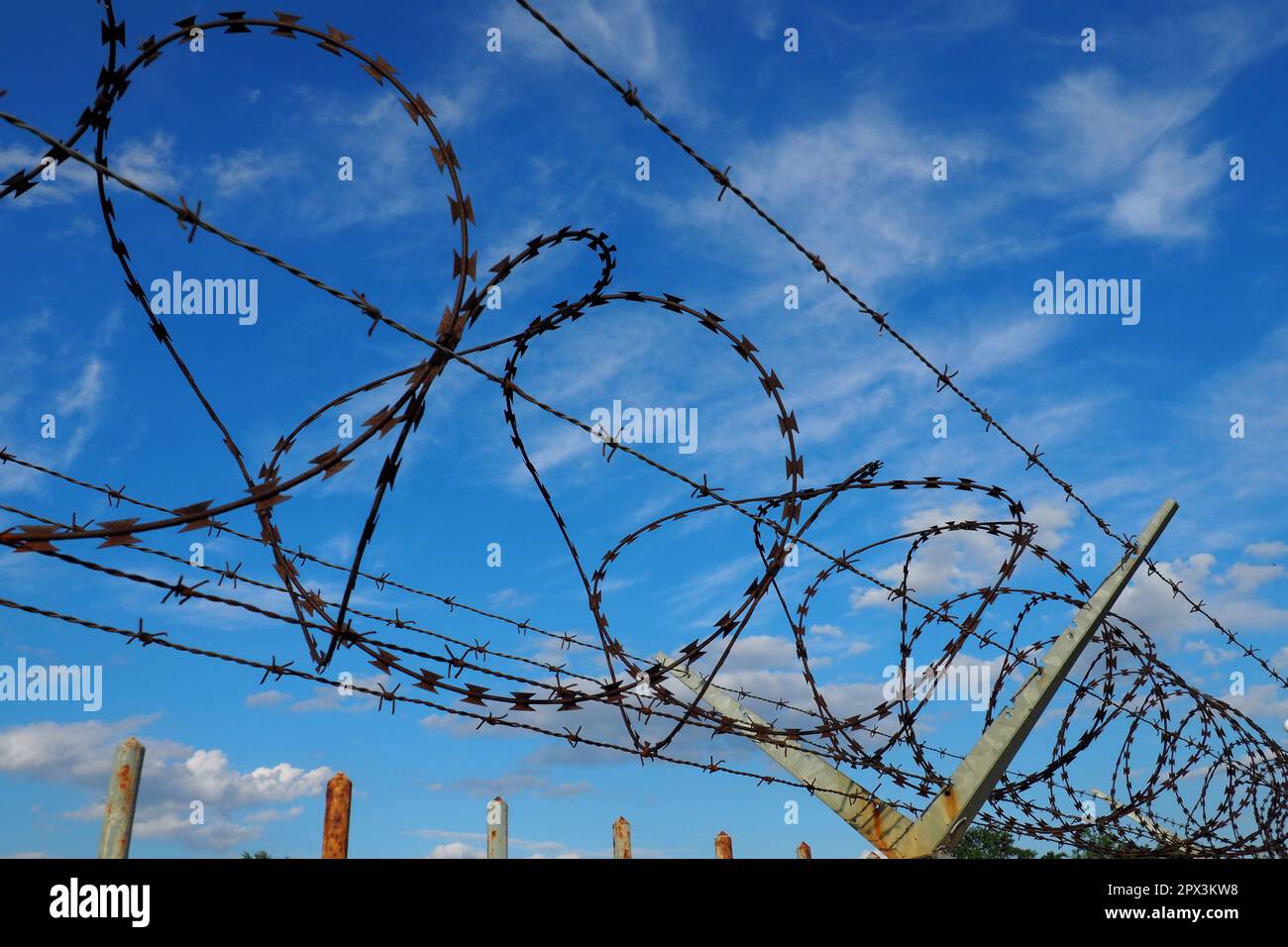 Stacheldraht am blauen Himmel. Stacheldraht ist ein Draht oder ein schmaler Metallstreifen mit scharfen Spitzen. Vorrichtung der Barrieren. Das Konzept der Freiheit, Prot Stockfoto