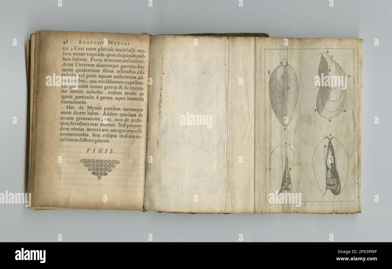 Ventage Medizinbuch. Ein altes Medizinbuch mit seinen Seiten. Stockfoto