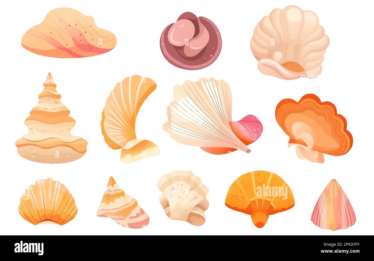 vektordarstellung der ui-Sets von bunten verschiedenen Muscheln vom Meeresgrund auf weißem Hintergrund isoliert Stock Vektor