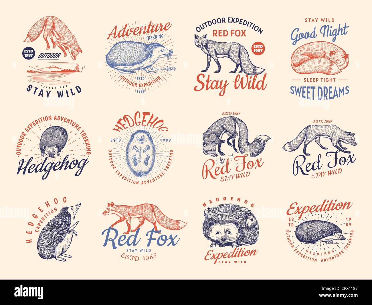Red Fox und Igel Abzeichen Set. Waldginger Wildtier Etikett oder Logo. Vektor graviert Hand gezeichnet Vintage alte Skizze für Stempel, T-Shirt oder Stock Vektor