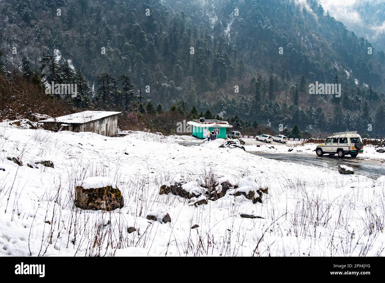 Yumthang Valley, North Sikkim, ist ein Paradies auf Erden, das voller Naturwunder und malerischer Schönheit ist. Stockfoto