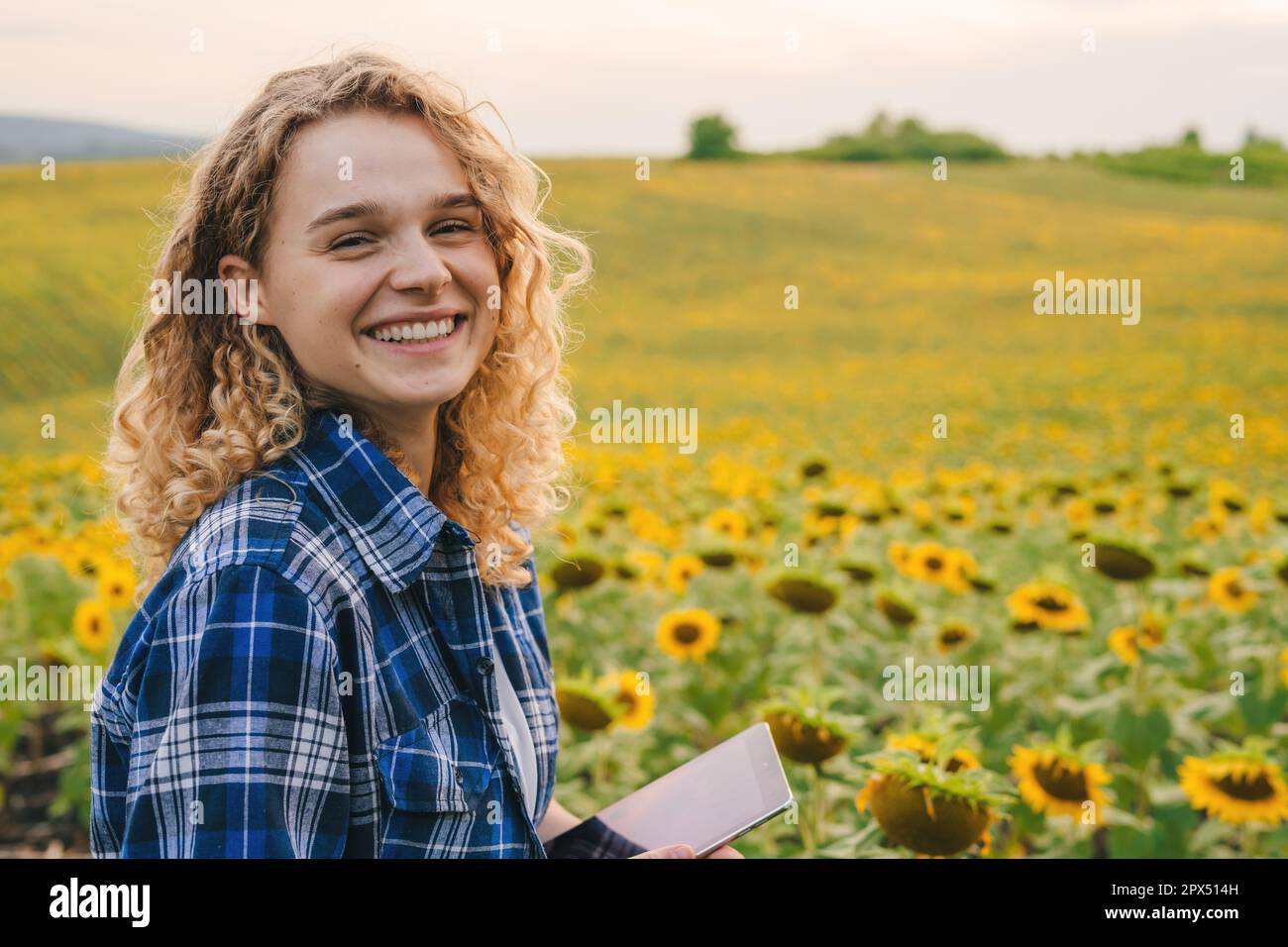 Porträt einer schönen Bauernfrau, die ein Tablet hält, um das Sonnenblumenfeld zu untersuchen. Glücklicher, lächelnder, stolzer Landwirt mit moderner agroindustrieller Technologie Stockfoto