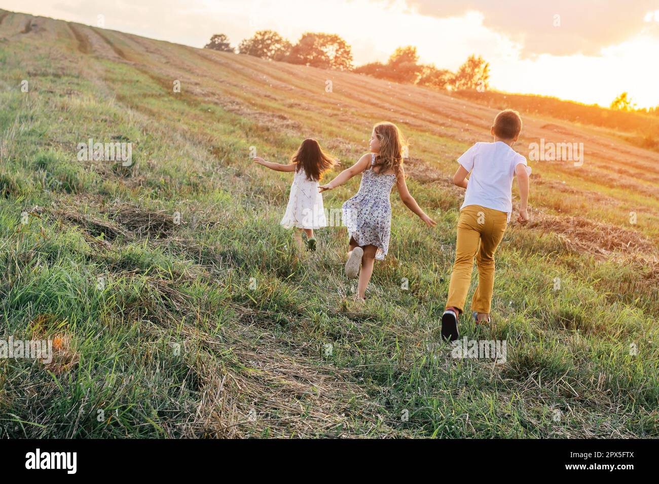 Portrait von zwei Mädchen in Kleid und Junge zurück zur Kamera, Spiel des Fangen und Laufen auf Gras Heufeld Pfade von trockenem Gras in den Sonnenuntergang. Wald o Stockfoto