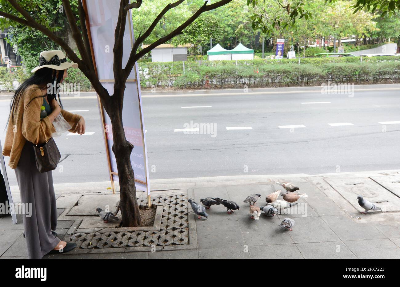 Taubenfütterung auf der Sukhumvit Road in Bangkok, Thailand. Stockfoto