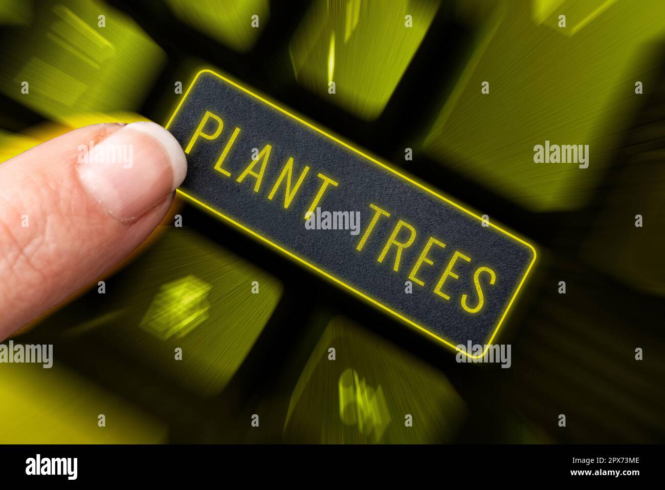 Schreiben mit Text Pflanzen Bäume, Business Showcase Prozess der Anpflanzung eines Baumes für Landbau und Forstwirtschaft Stockfoto