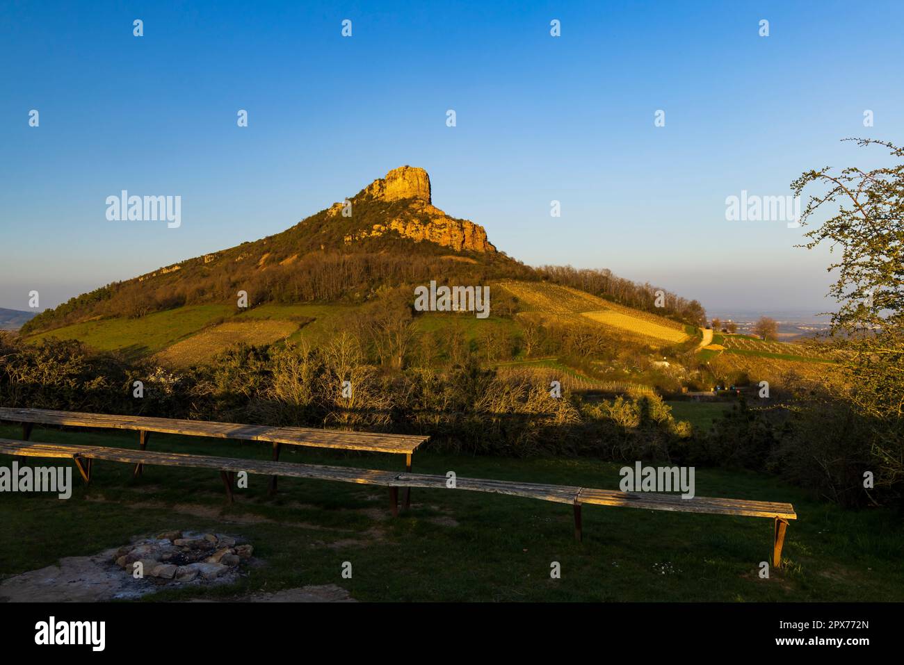 Felsen von Solutre mit Weinbergen, Burgund, Solutre-Pouilly, Frankreich Stockfoto