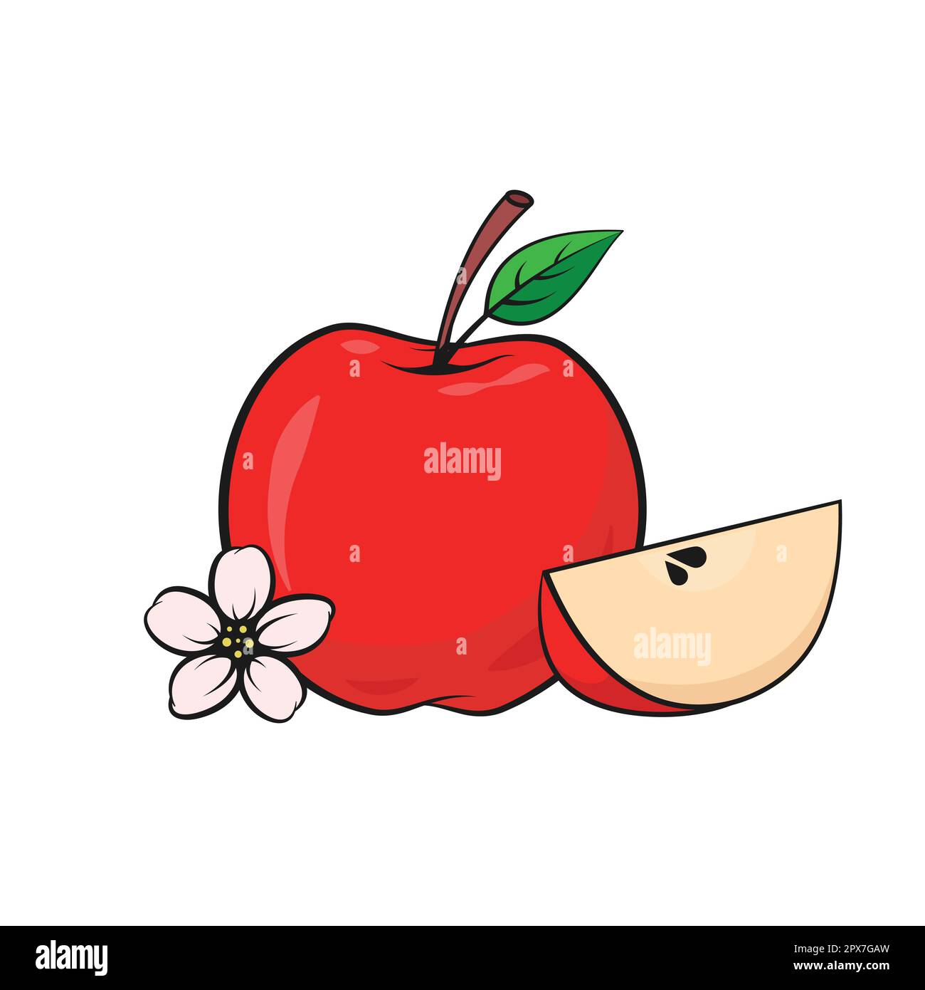 Rotapfel-Stillleben-Illustration. Ganze Apfel-, Scheiben- und Blütenzusammensetzung. Stock Vektor