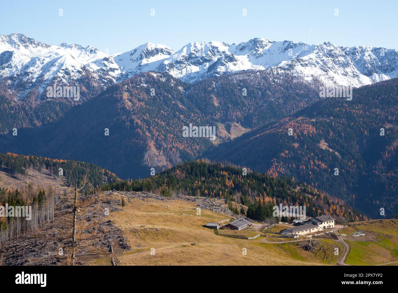 Herbstlandschaft im Mocheni-Tal, Baselga di Pine, Italien. Blick auf die Berge Stockfoto