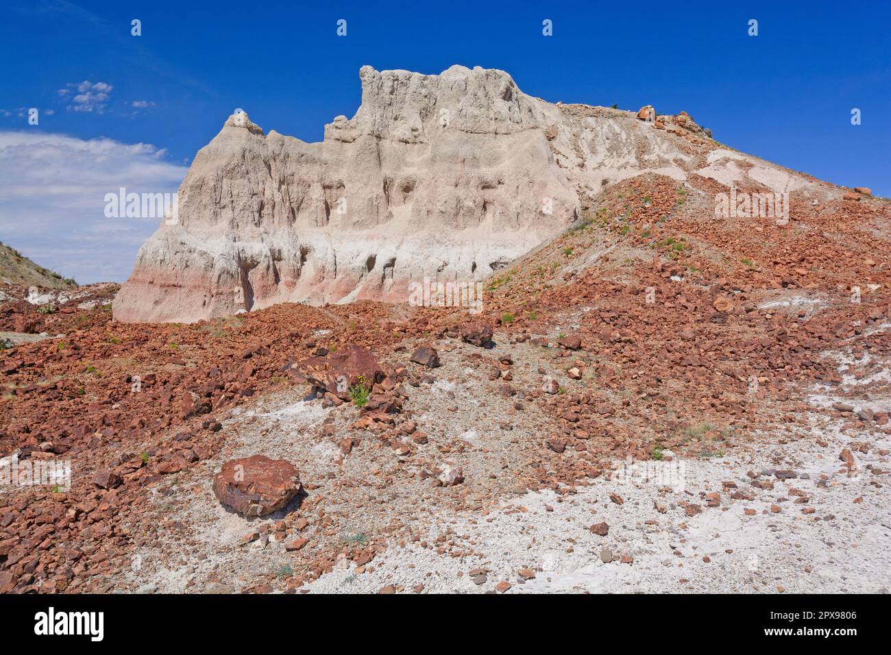 Farbenfrohe Rock Remants unter dem Vulkan Tuff im Big Bend National Park in Texas Stockfoto
