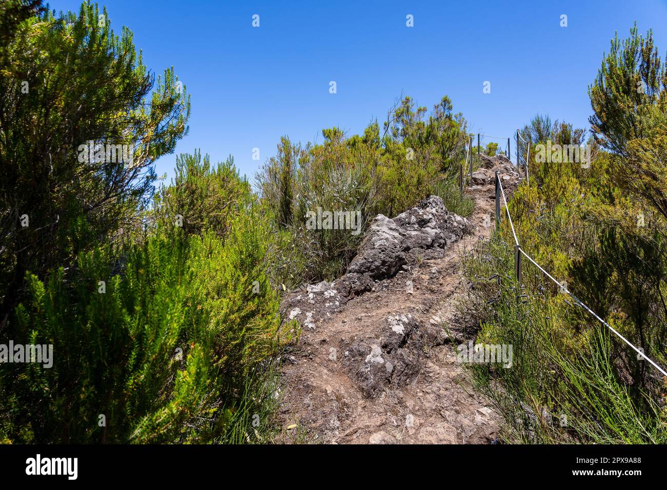 Unglaubliche Naturschönheit der Insel Madeira, berühmt für ihre Wanderungen in den Bergen. Stockfoto