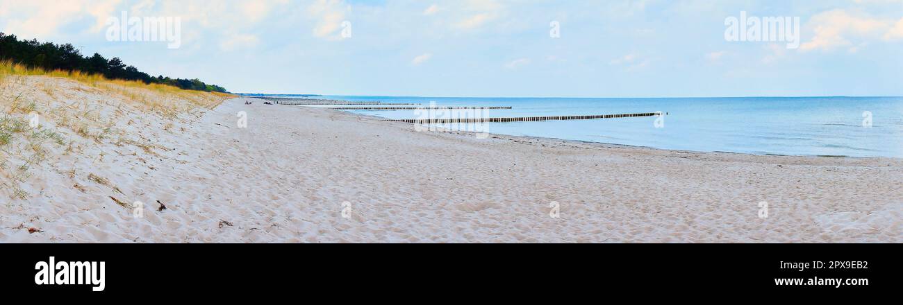 Groynes sprengen in die Ostsee. Blick über den Strand an der Küste. Landschaftsfoto von Zingst Stockfoto