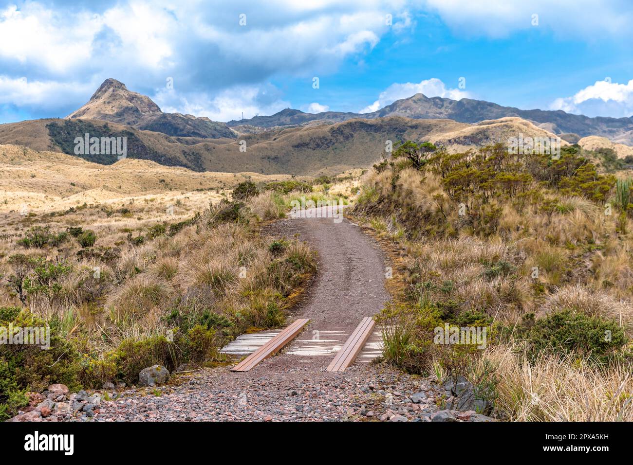 Cayambe Coca Ökologisches Reservat in Ecuador. Stockfoto