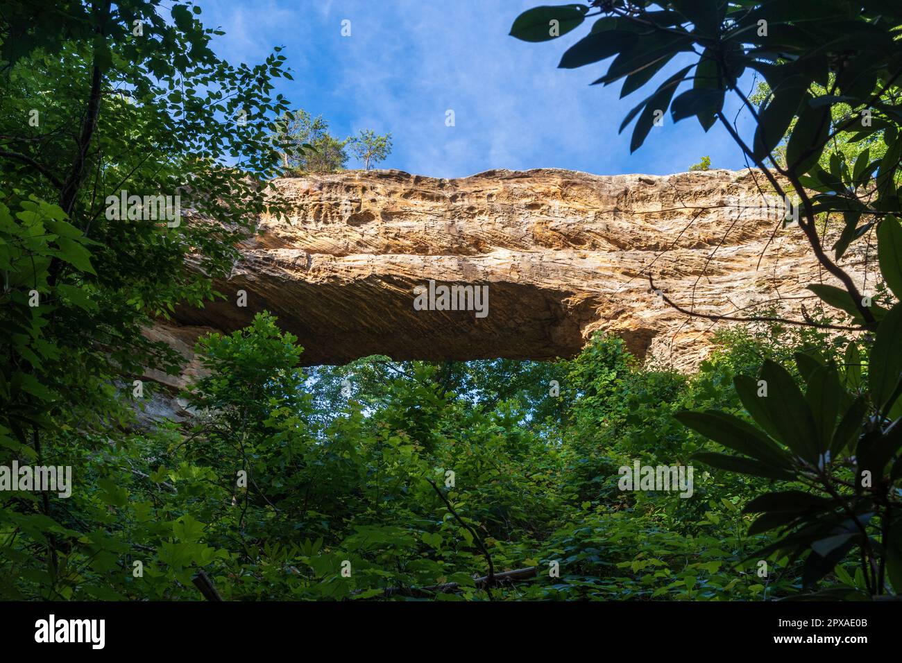 Natural Bridge State Resort Park in Kentucky Stockfoto