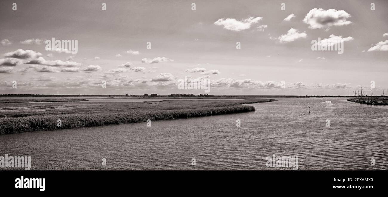 Zingster Strom am Hafen Zingst, Fischland-Darß, Mecklenburg-Vorpommern, Deutschland Stockfoto