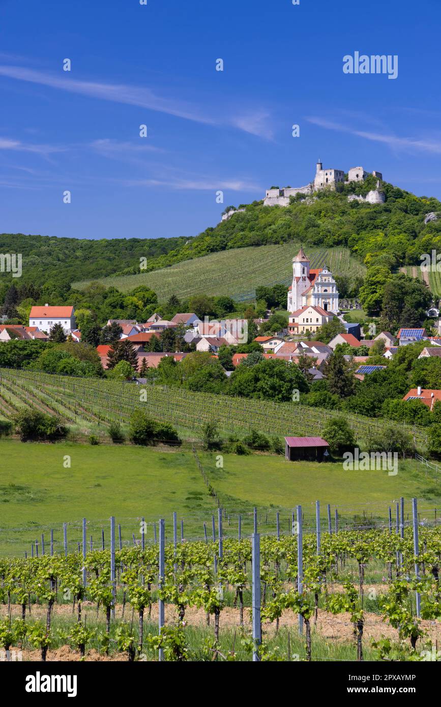 Falkenstein Ruinen und Stadt mit Weinberg, Niederösterreich, Österreich Stockfoto